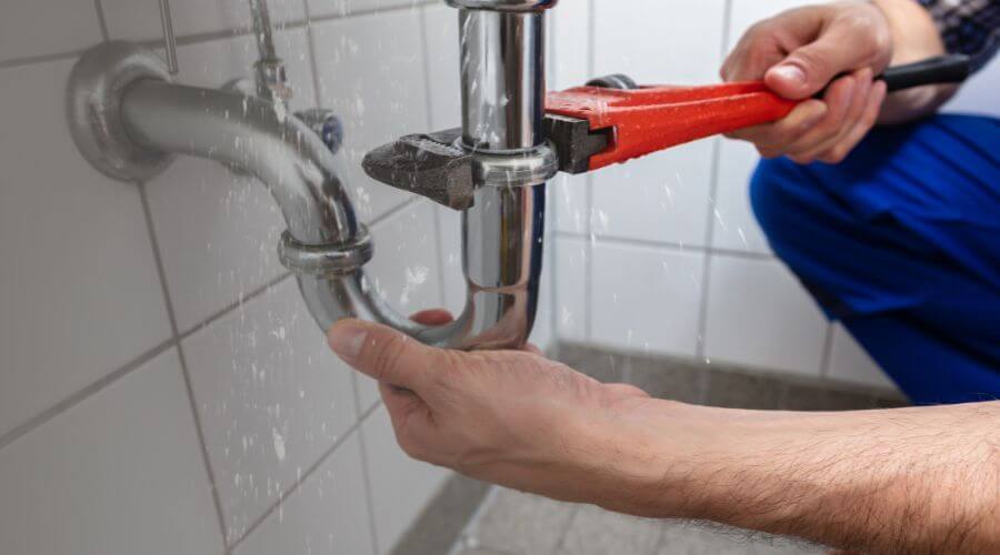 Leak Detection Services in Roberta, GA